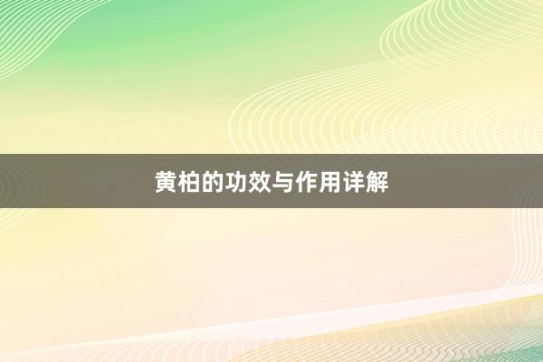 黄柏的功效与作用详解