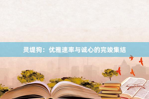 灵缇狗：优雅速率与诚心的完竣集结