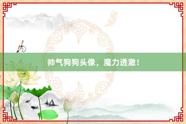 帅气狗狗头像,魔力透澈!